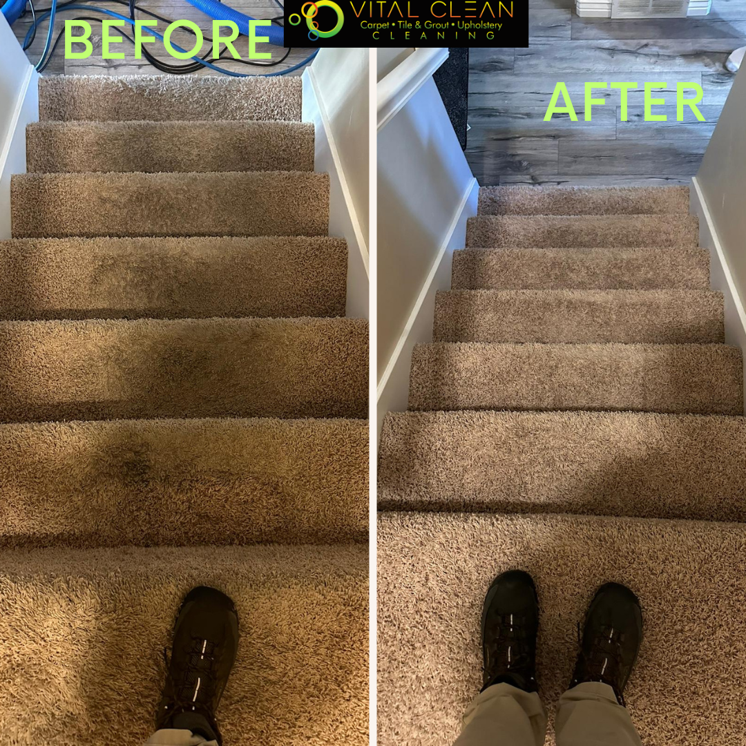 Vital Clean Carpet Cleaning Image